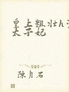 皇上粗壮h灌满太子妃