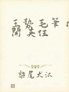 玉势 毛笔 撑开 夹住