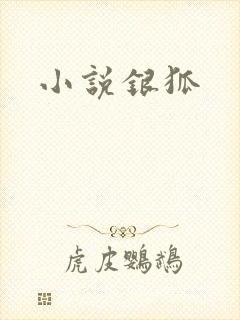小说银狐