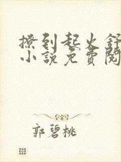 撩到起火舒漾的小说免费阅读全文