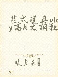 花式道具play高h文调教