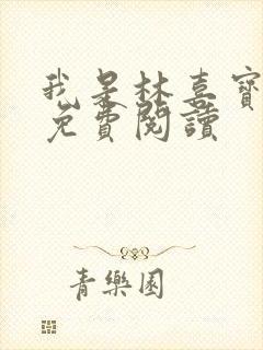 我是林喜宝小说免费阅读