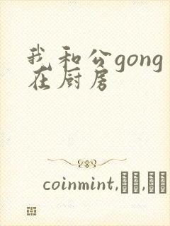我和公gong在厨房