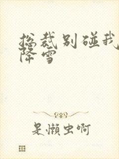 总裁别碰我 韩降雪