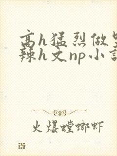 高h猛烈做哭高辣h文np小说