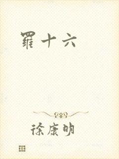 罗十六