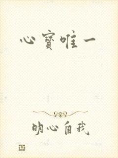 心宝唯一