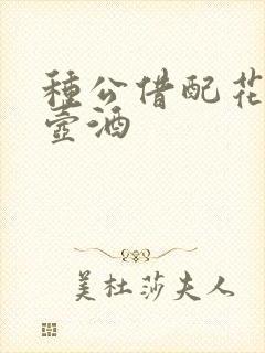 种公借配花间一壶酒