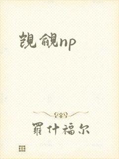 觊觎np