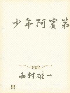 少年阿宾第二部