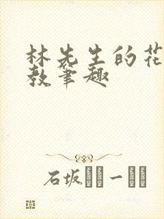 林先生的花式管教笔趣