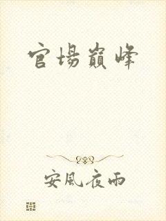 官场巅峰