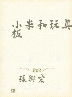 小米和玩具店老板