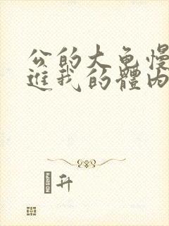 公的大龟慢慢挺进我的体内