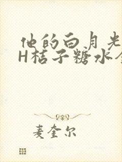 他的白月光HVH桔子糖水全文