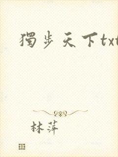 独步天下txt