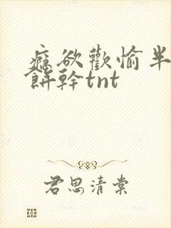 瘾欲欢愉半块小饼干tnt