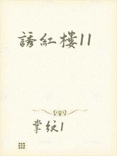 诱红楼11