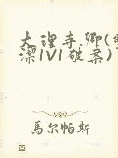 大理寺.卿(双洁1V1破案)