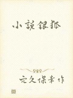 小说银狐