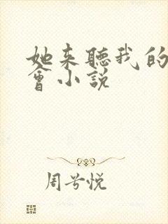 她来听我的演唱会小说