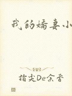 我的娇妻小说