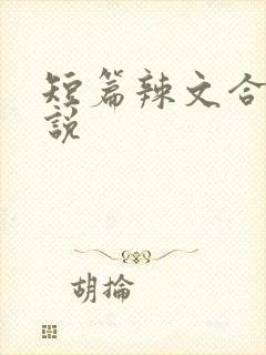 短篇辣文合集小说