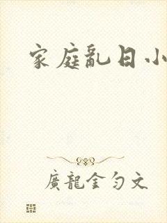 家庭乱日小说