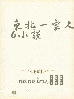 东北一家人1一6小说