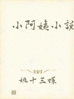 小阿姨小说