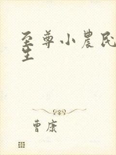 至尊小农民王木生