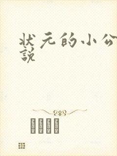 状元的小公主小说