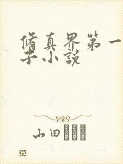 修真界第一病秧子小说