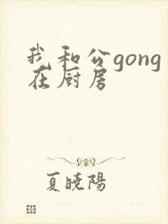 我和公gong在厨房