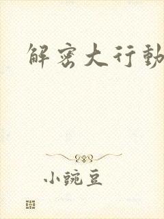 解密大行动