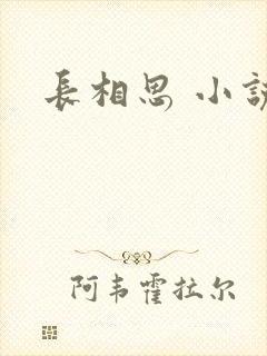长相思 小说
