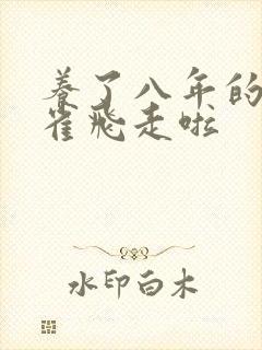 养了八年的金丝雀飞走啦