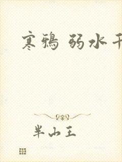 寒鸦 弱水千流