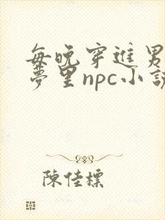 每晚穿进男神的梦里npc小说
