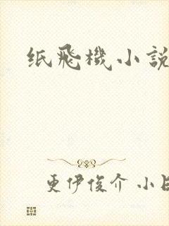纸飞机小说