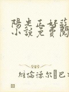 阳光正好苏玥玥小说免费阅读无弹窗