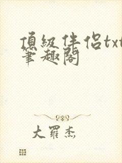 顶级伴侣txt笔趣阁