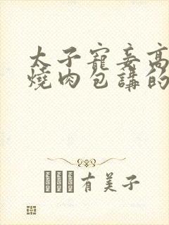 太子宠妾高肉红烧肉包讲的什么