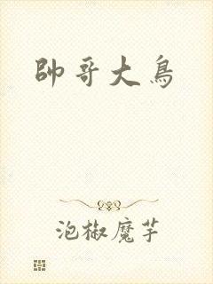 帅哥大鸟