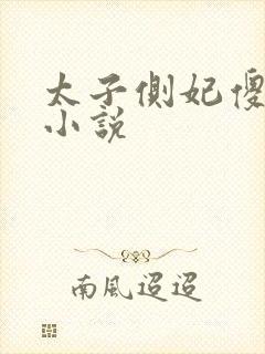 太子侧妃傻乎乎小说