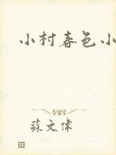 小村春色小说