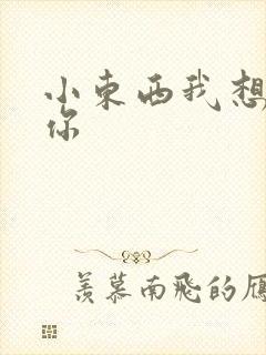 小东西我想弄坏你