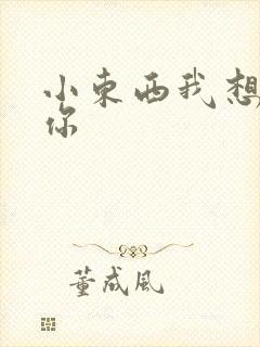 小东西我想弄坏你