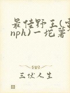 最佳野王(电竞nph)一坨薯饼