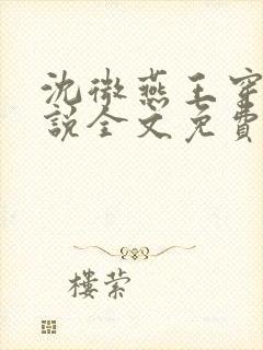 沈微燕王穿越小说全文免费阅读